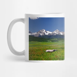 850_1905 Mug